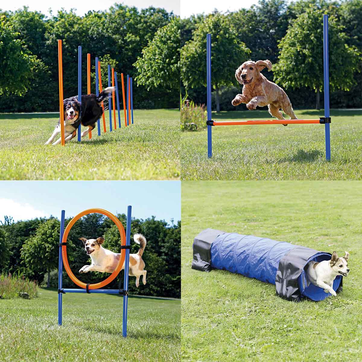 Trixie Dog Activity Agility Set vierteilig kaufen