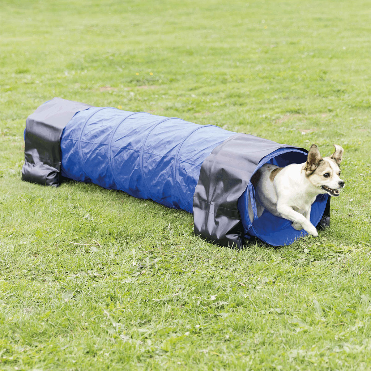Dog Activity Agility Tunnel, 40cm - 2m kaufen