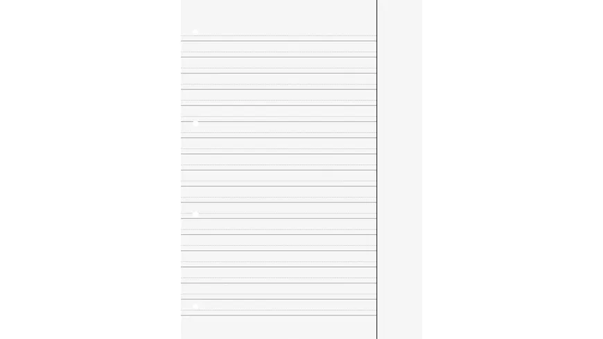 BRUNNEN Schulblock A4 Lineatur dm Premium