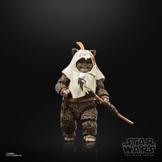 Star Wars Episode VI 40th Anniversary Black Series Actionfigur: Paploo