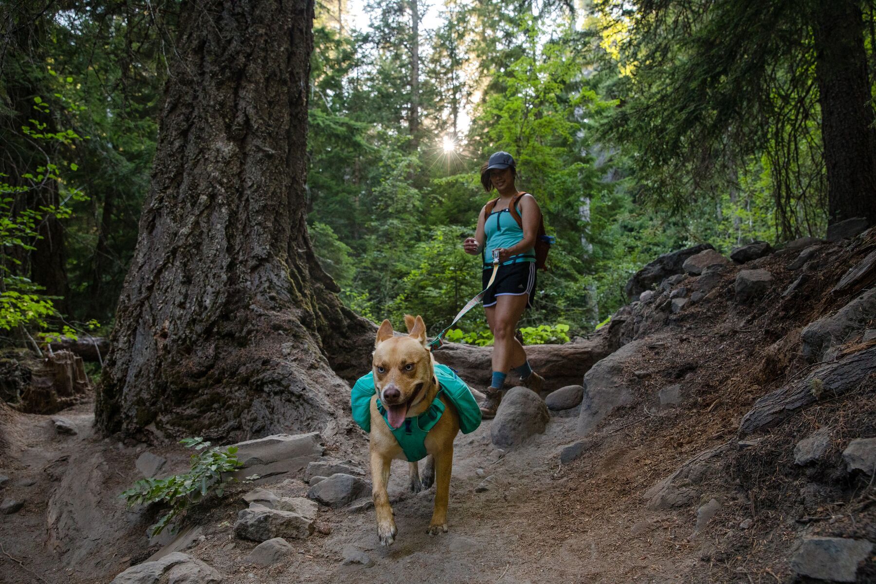 Ruffwear Hundeleinen Ruffwear Flat Out™ Leine türkis