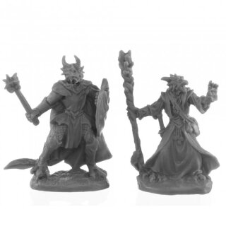 Dragonfolk Wizard and Cleric