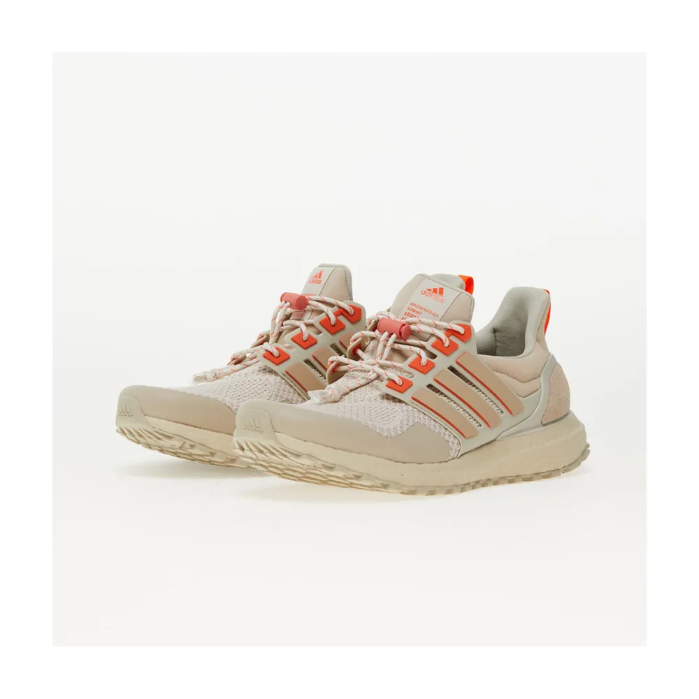 adidas UltraBOOST 1.0 Atr IF9072 / grau