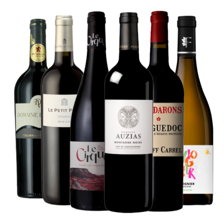 PACK TOP MEILLEURES VENTES LANGUEDOC-ROUSSILLON