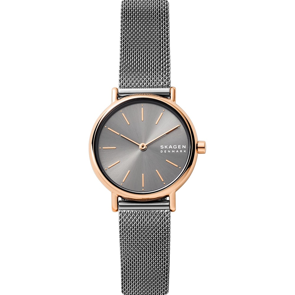 Skagen Montre pour femme Acier inoxydable Montre