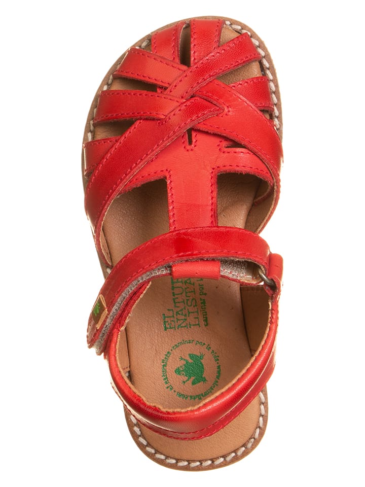 El Naturalista Leder-Halbsandalen 