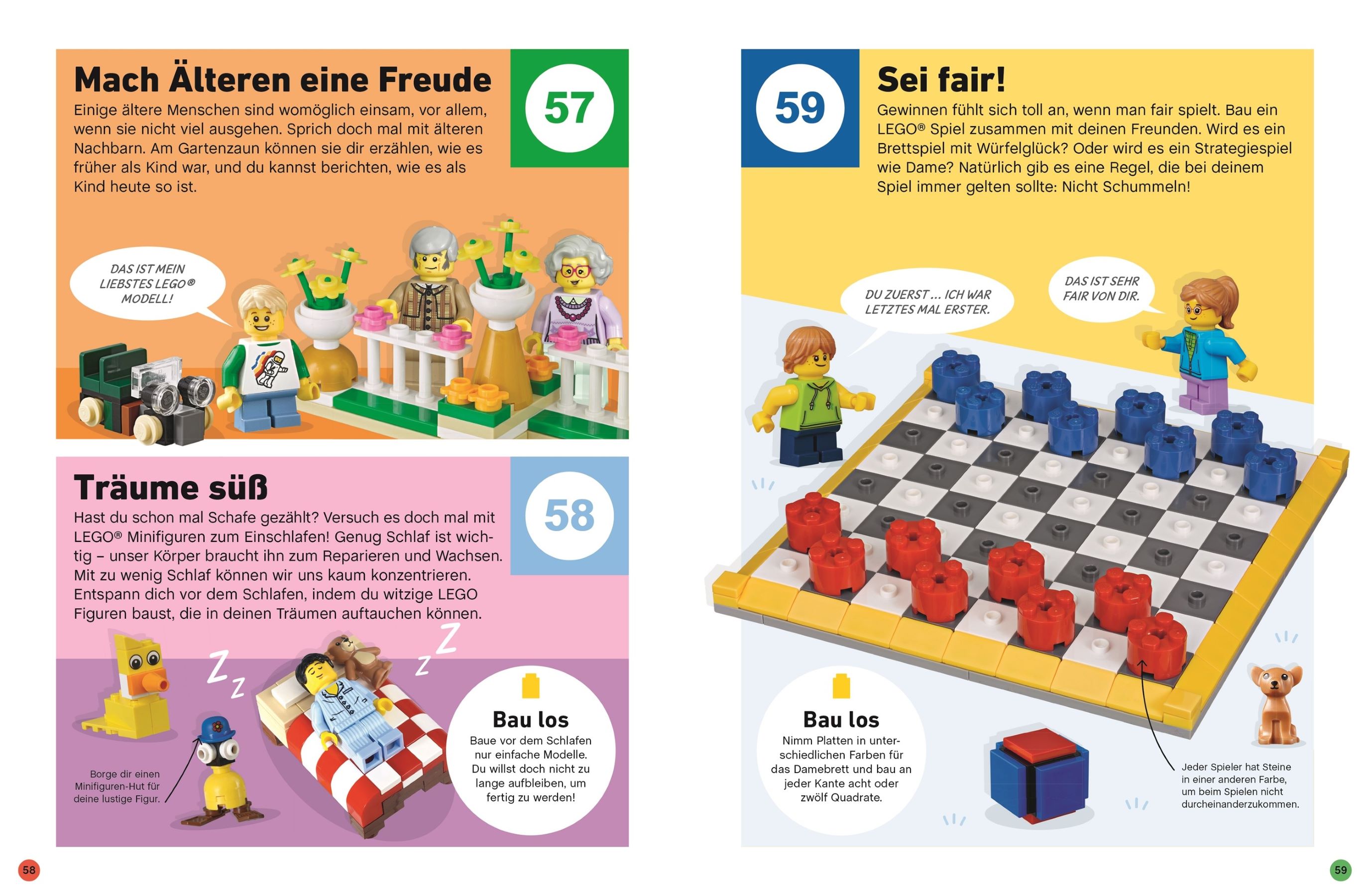 LEGO® 100 Ideen für eine bessere Welt 5007743