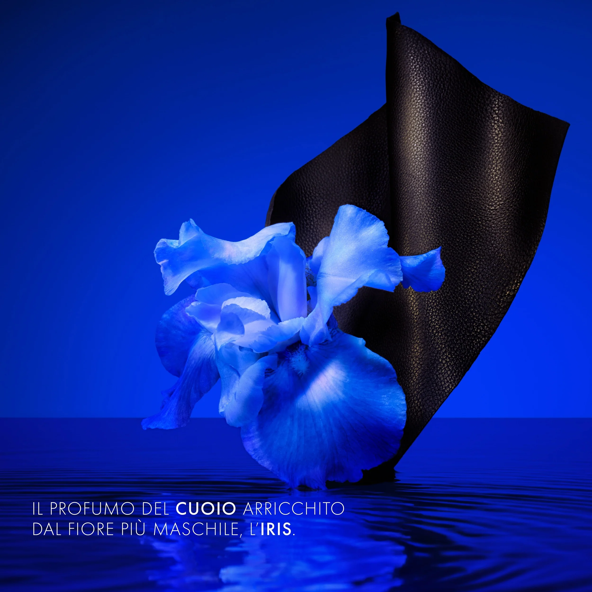 KenzoHomme Indigo - Eau de Parfum