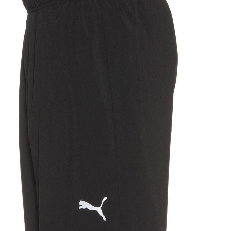 PUMA Funktionsshorts Herren