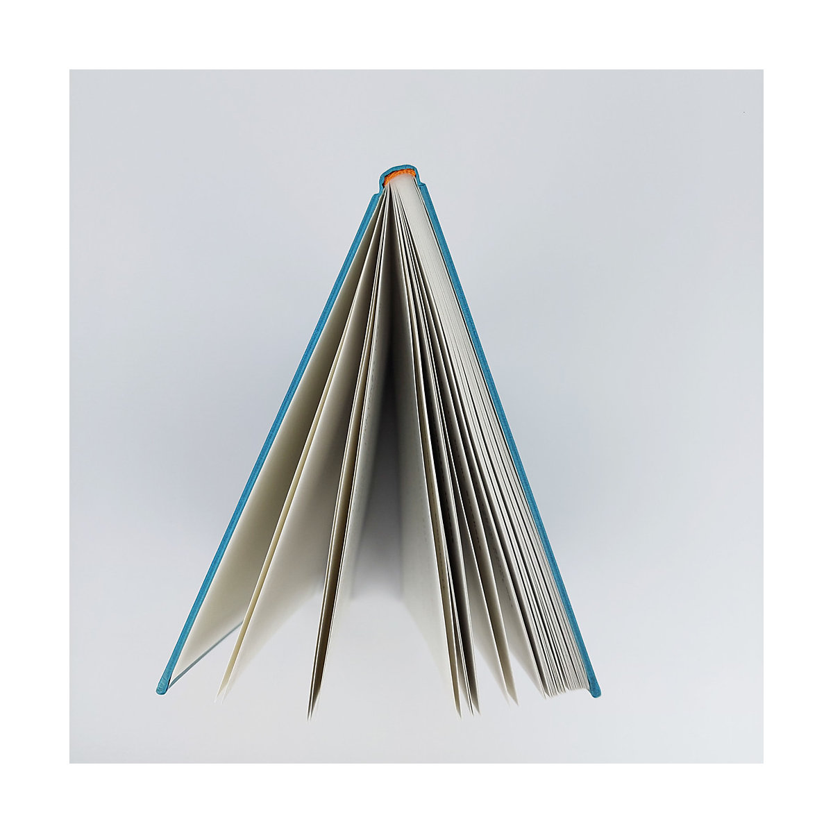 Verbrenn das Buch danach - Ein Ausfüllbuch für Erwachsene (Hardcover)