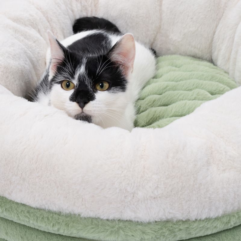 Modern Living Kuschelbett Vasa zu TOP-Preisen
