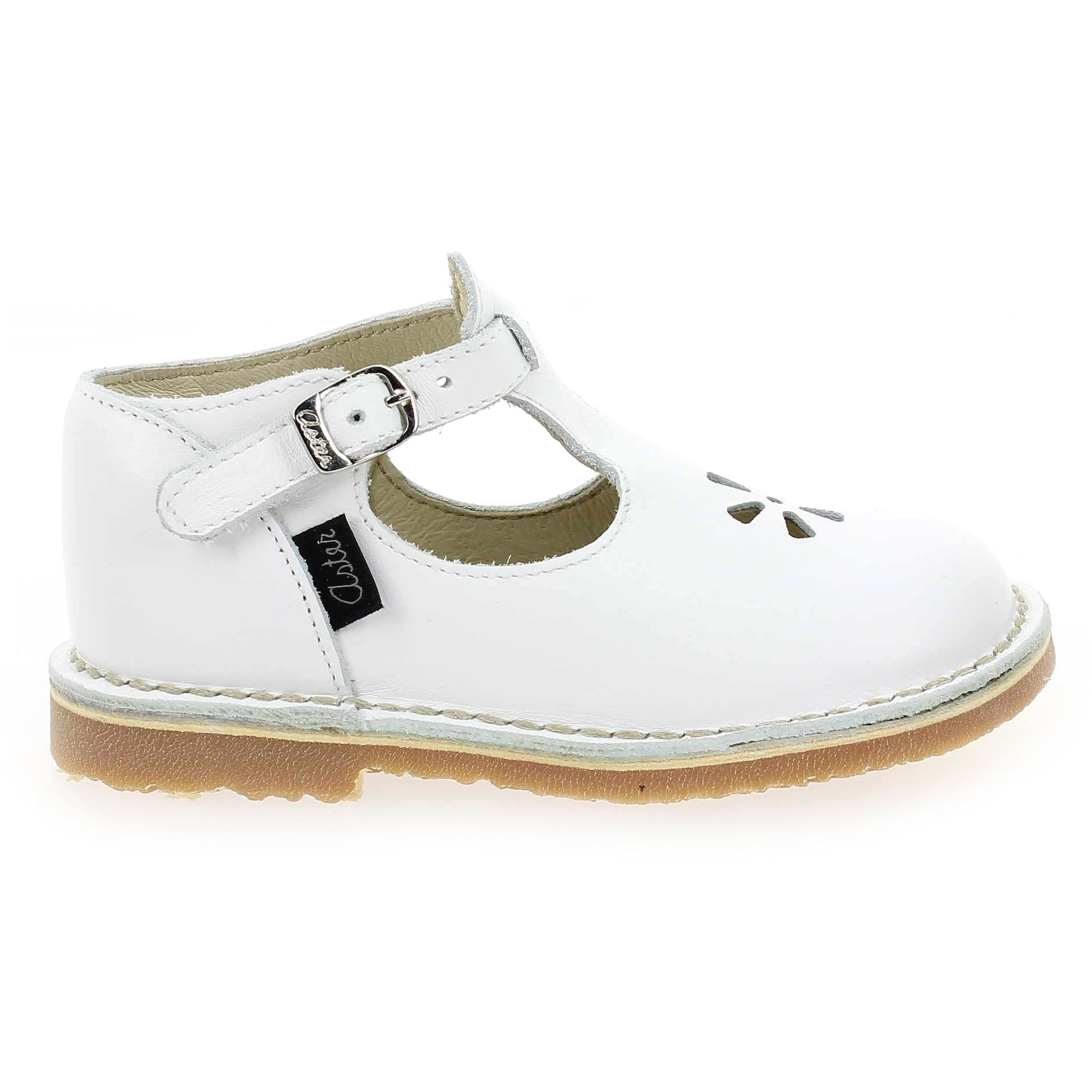 Aster  BIMBO - Blanc