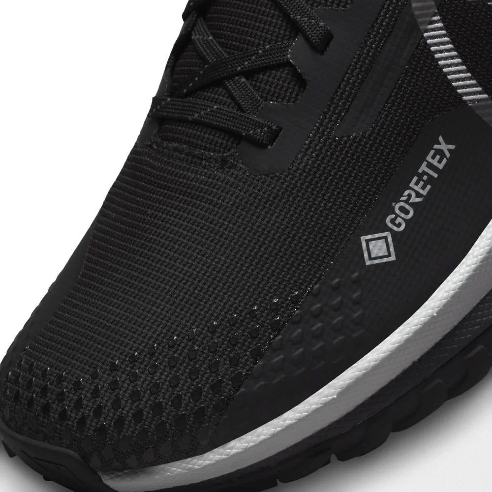 Nike React Pegasus Trail 4 GORE TEX DJ7926-001 / schwarz