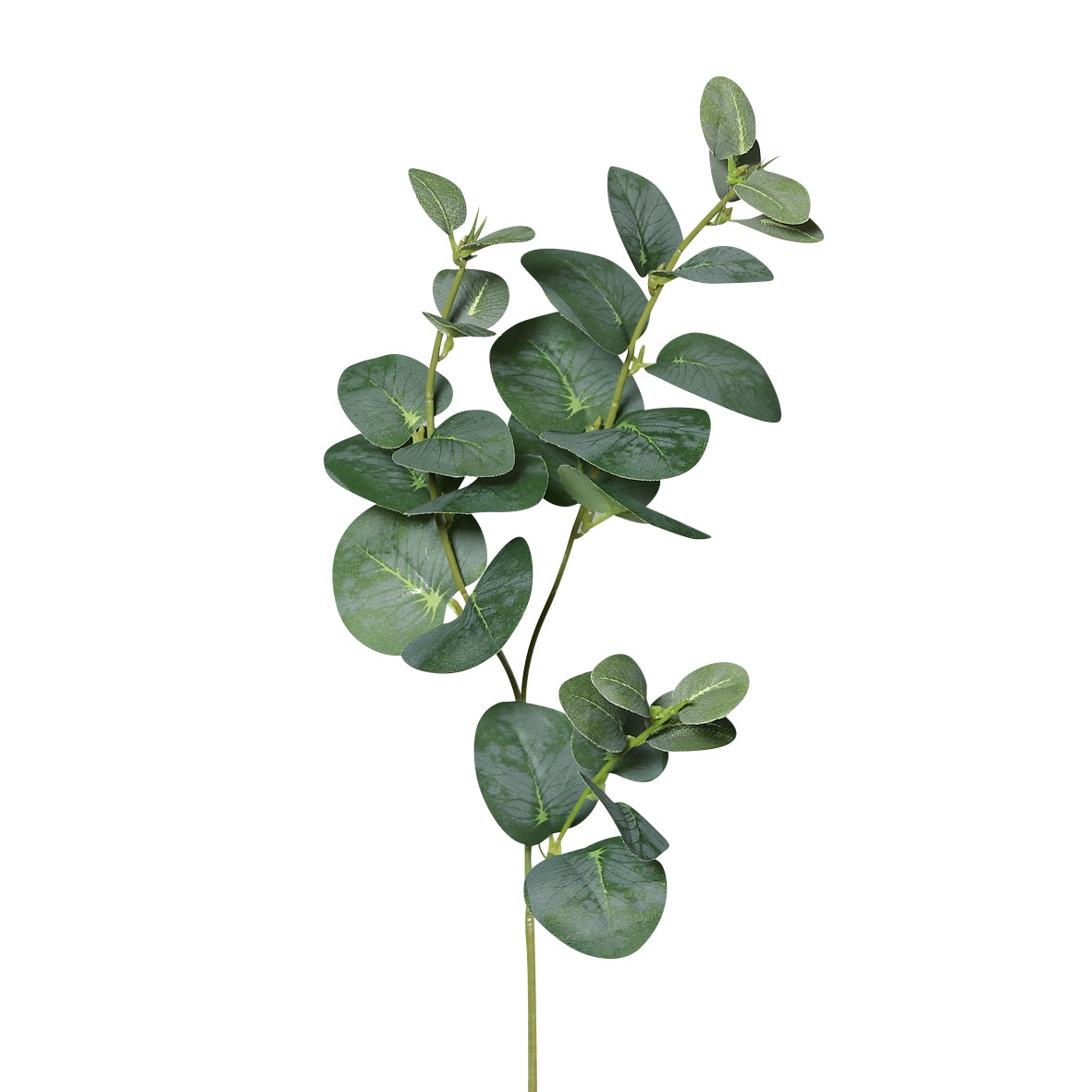 DPIEukalyptuszweig 64cm
