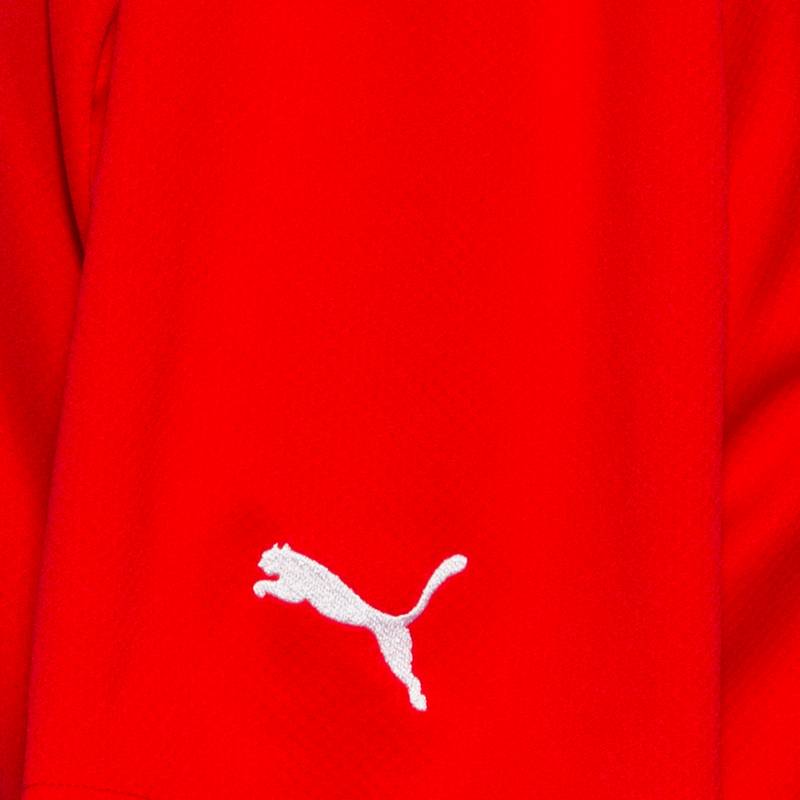 PUMA sterreich 2022 Heim Teamtrikot Herren