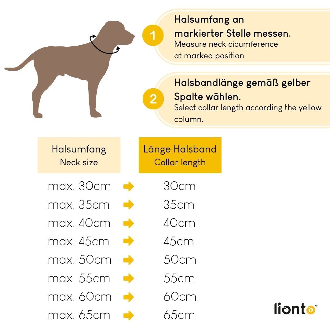 Lionto Hundehalsbänder Lionto Hundehalsband, Retrieverhalsband beige XS