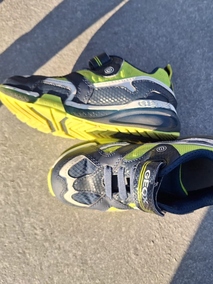 Geox Sneakers 