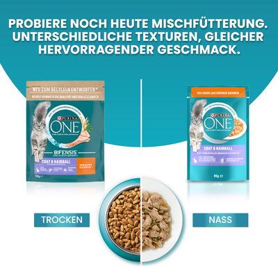PURINA ONE Coat & Hairball
