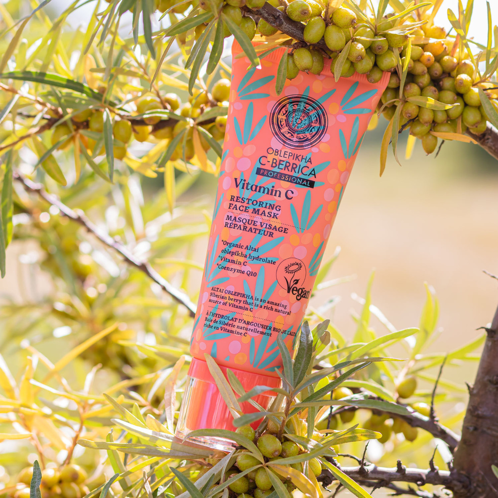 Natura Sibérica Masque Réparateur Soin Visage