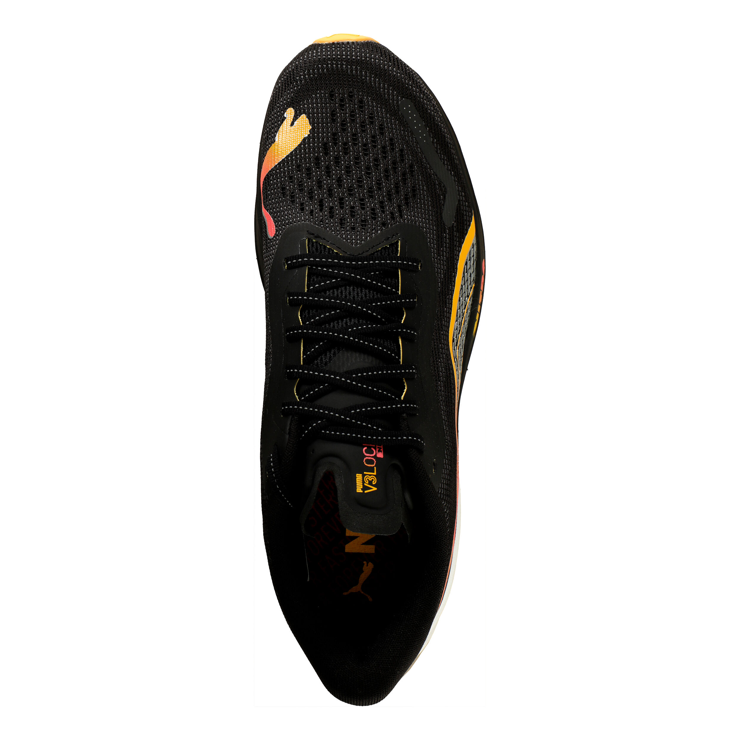 Velocity Nitro 3 FF Neutralschuh Herren - Schwarz