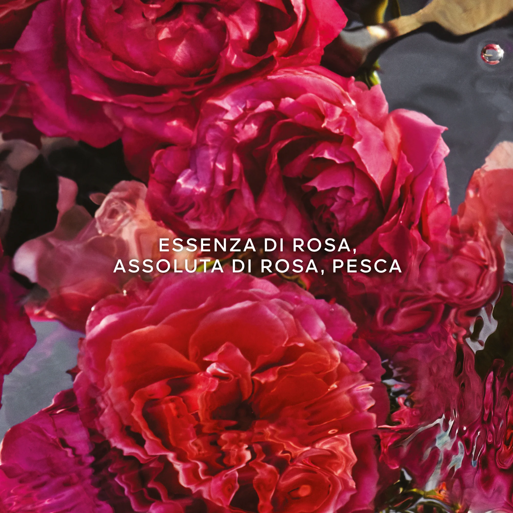 Aqua Allegoria Strong Red Rose - Eau de Parfum - Eau de Parfum