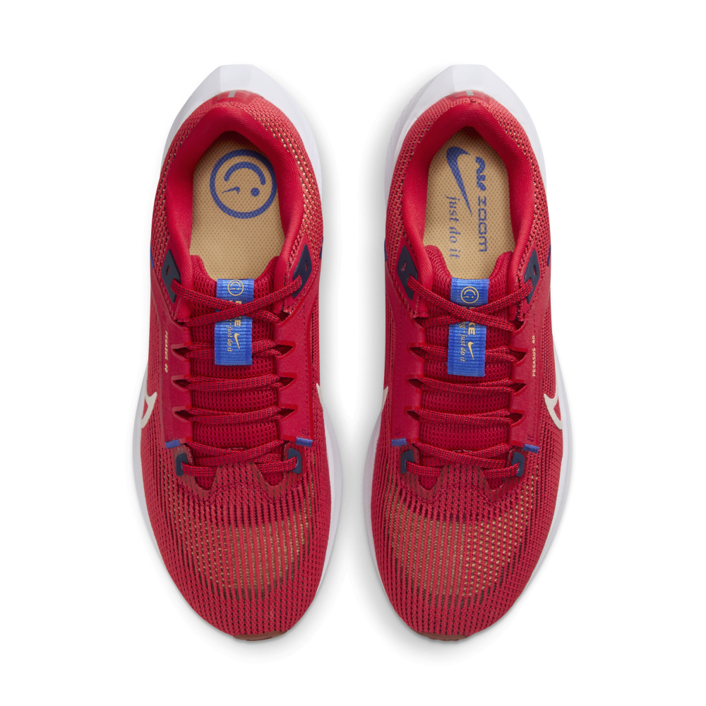 Nike Air Zoom Pegasus 40 DV3853-600 / rot
