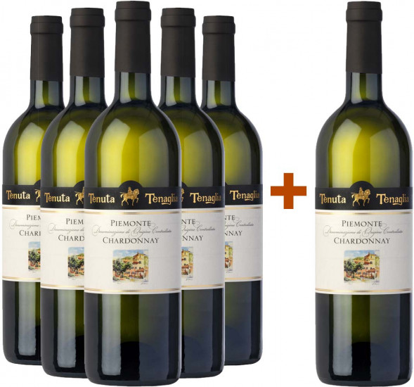 5+1 Paket Chardonnay