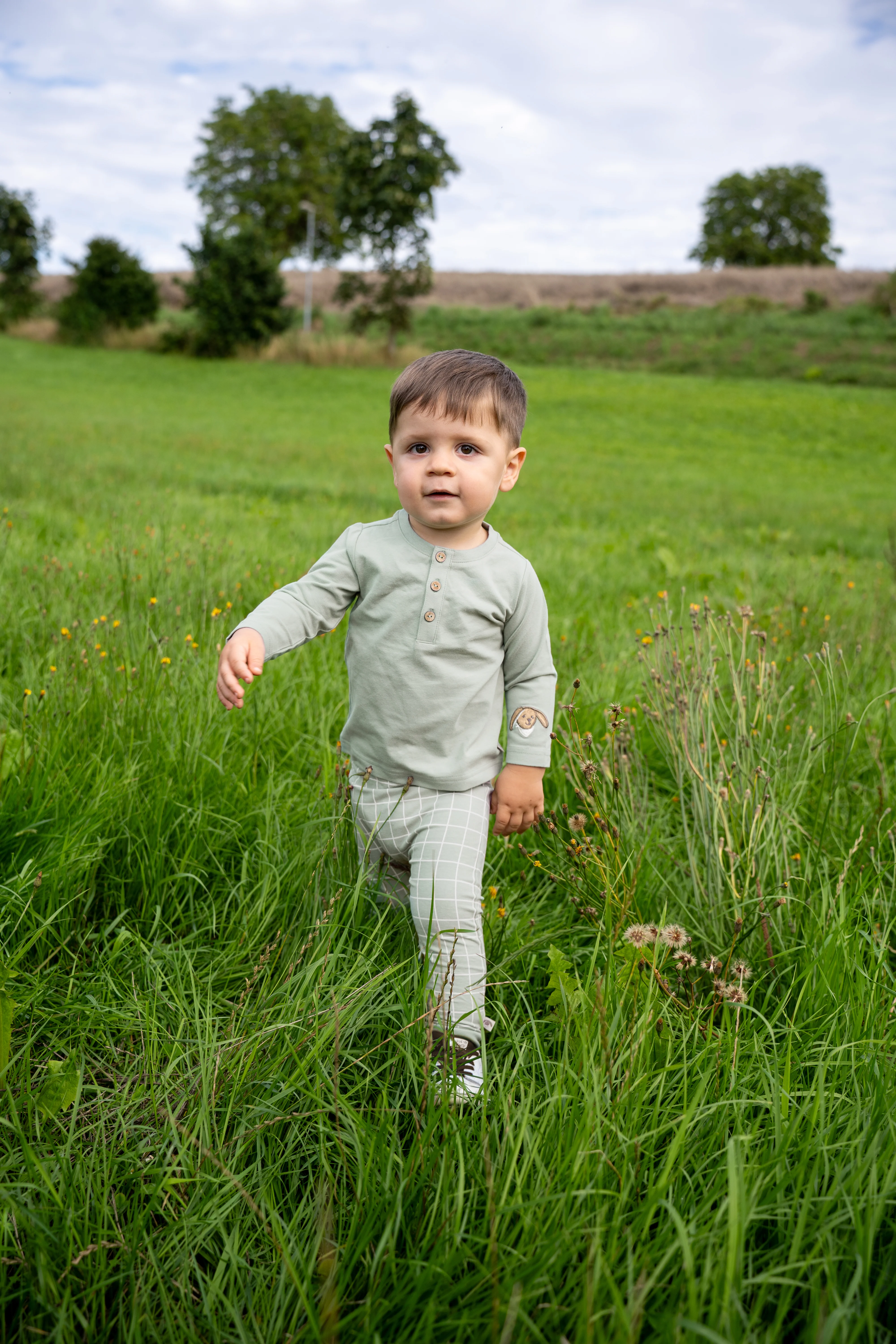 Shirt Hase Happy mit Knopfleiste in steingrün