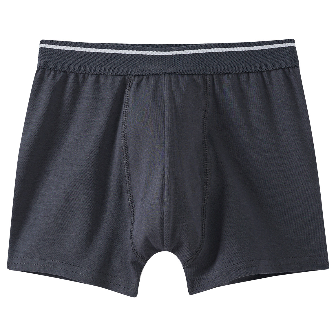 5 Jungen Boxer in verschiedenen Dessins
