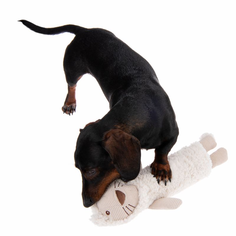 Hundespielzeug Lionel zu TOP-Preisen