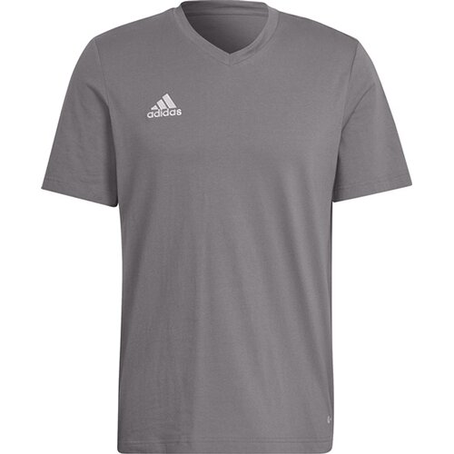 HERREN FANSHIRT ENTRADA 22 (NORMAL & LANG)