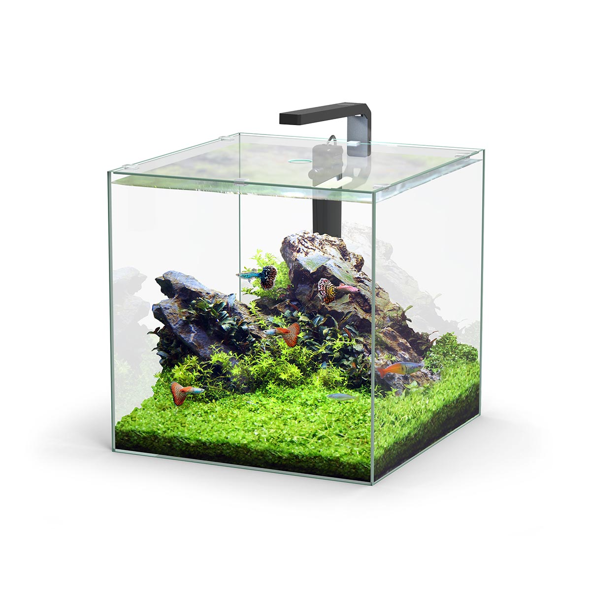 Aquatlantis Aquarium Set Kubus LED günstig kaufen