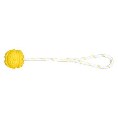 Trixie Aqua Toy Ball am Seil