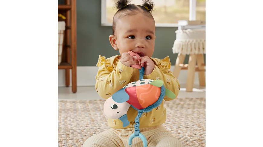 Fisher-Price Flotte Schildkröte