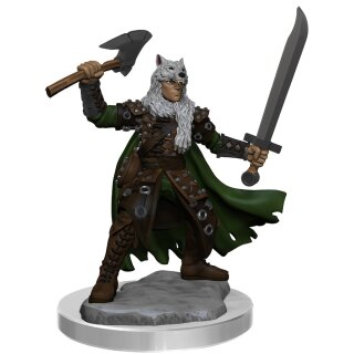D&D Frameworks: Male Half-Elf Ranger (2)