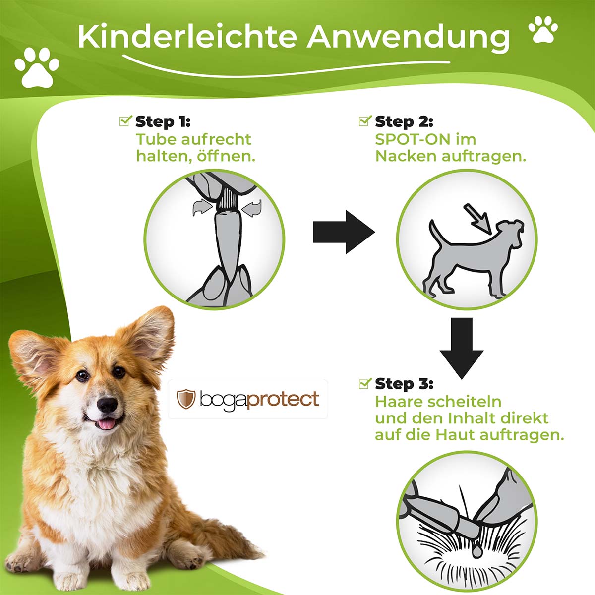 bogaprotect Spot-On Hund günstig kaufen bei ZooRoyal