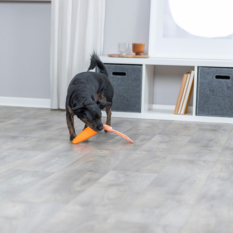 Trixie Hundespielzeug Karotte am Seil zu TOP-Preisen | bitiba.de