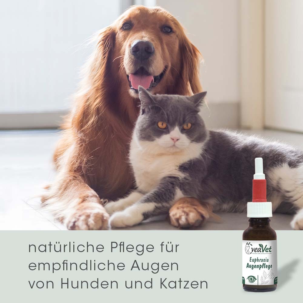 cdVet Augen- & Ohrenpflege cdVet VeaVet Euphrasia Augenpflege
