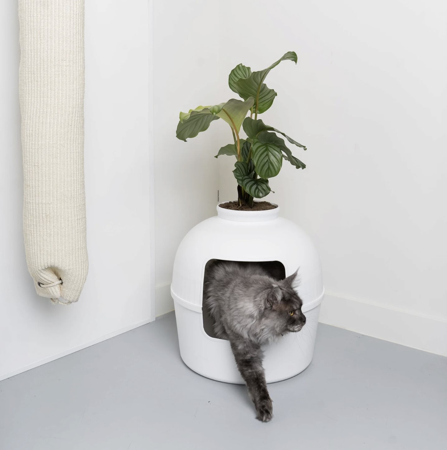 RHR Quality Katzentoiletten RHR Quality Katzentoilette Flower XXL weiß
