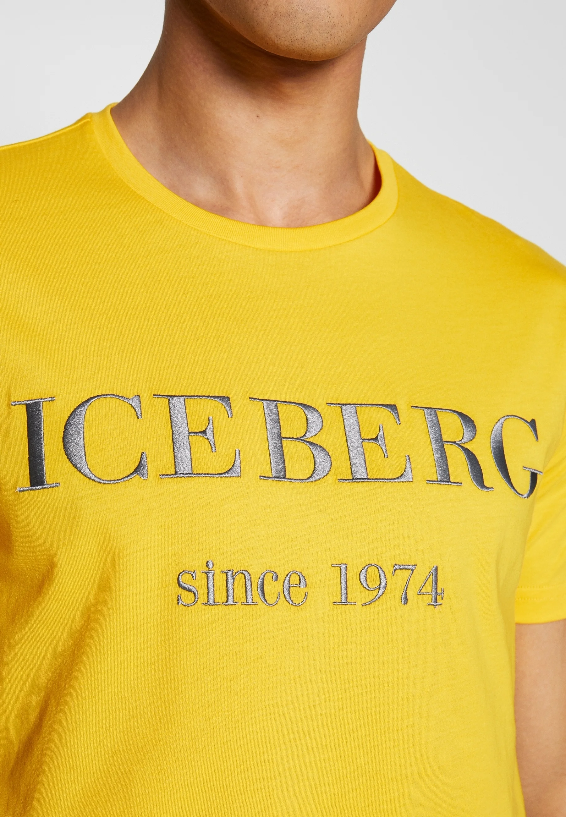 Camiseta Iceberg con estampado