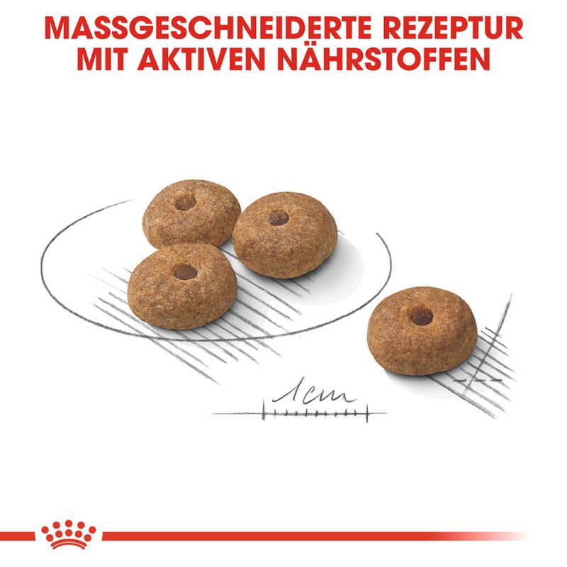 Royal Canin Mini Sterilised