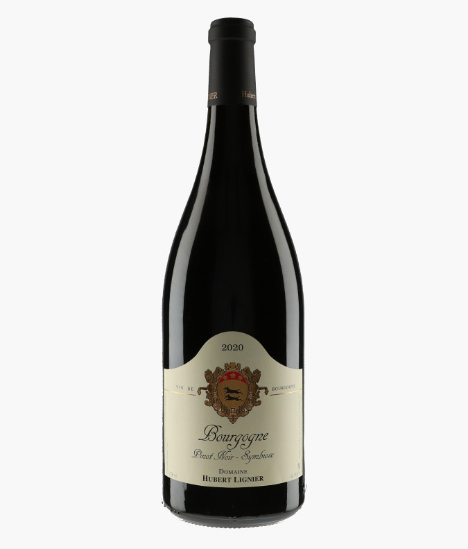Bourgogne Pinot Noir Symbiose 2020LIGNIER HUBERT