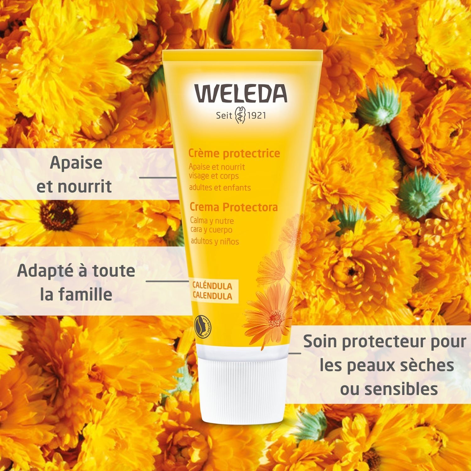 Weleda Calendula Crème Protectrice - Visage et Corps - Apaise et Nourrit - 75 ml
