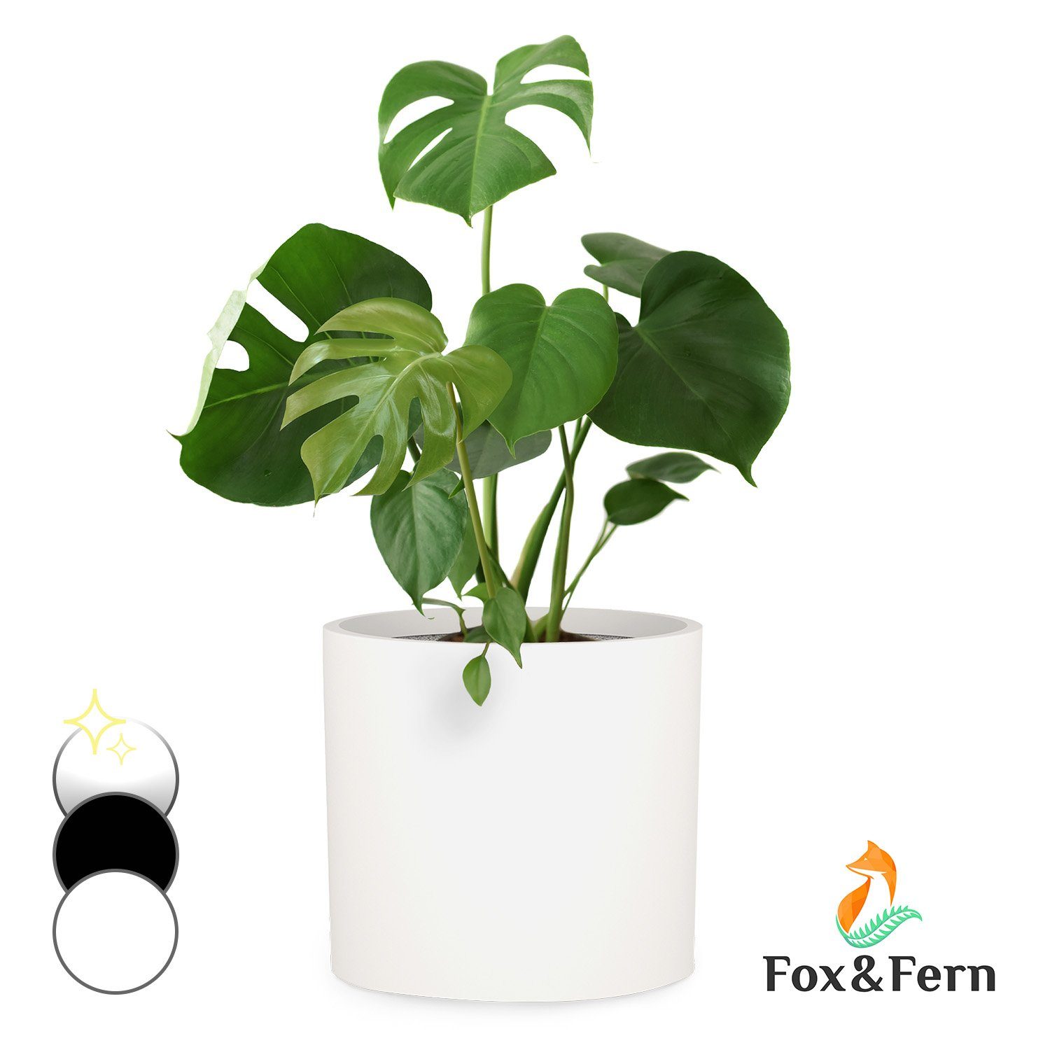 Fox & Fern Hochbeet Gendt