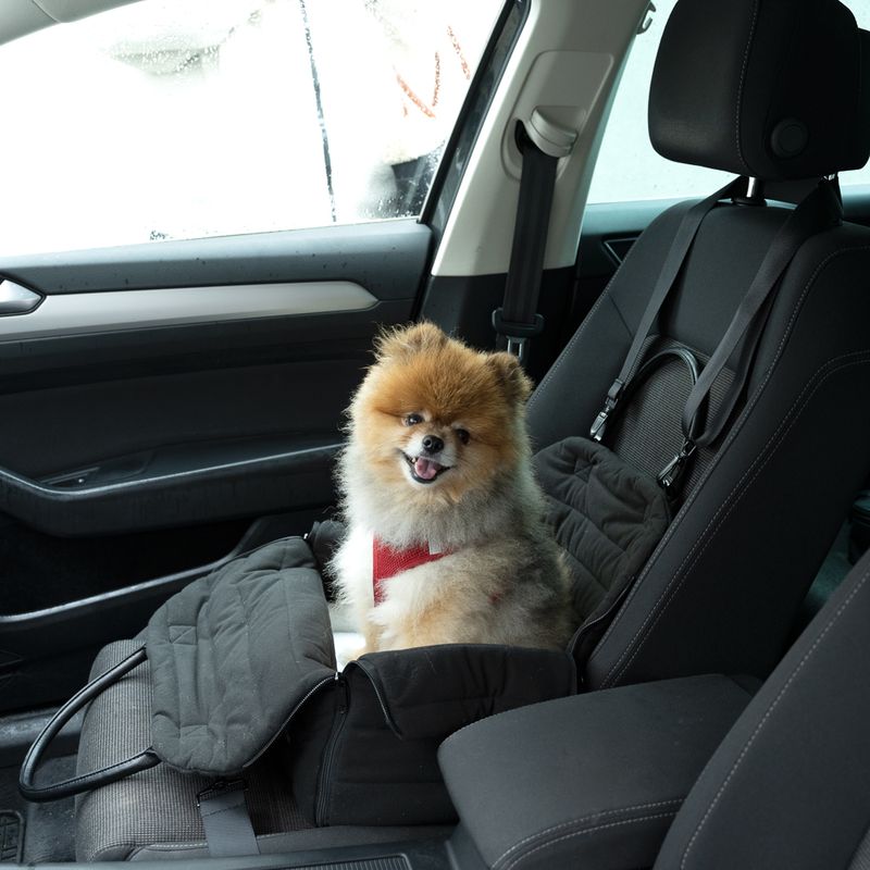 TIAKI Hundeautositz 3-in-1 zu TOP-Preisen