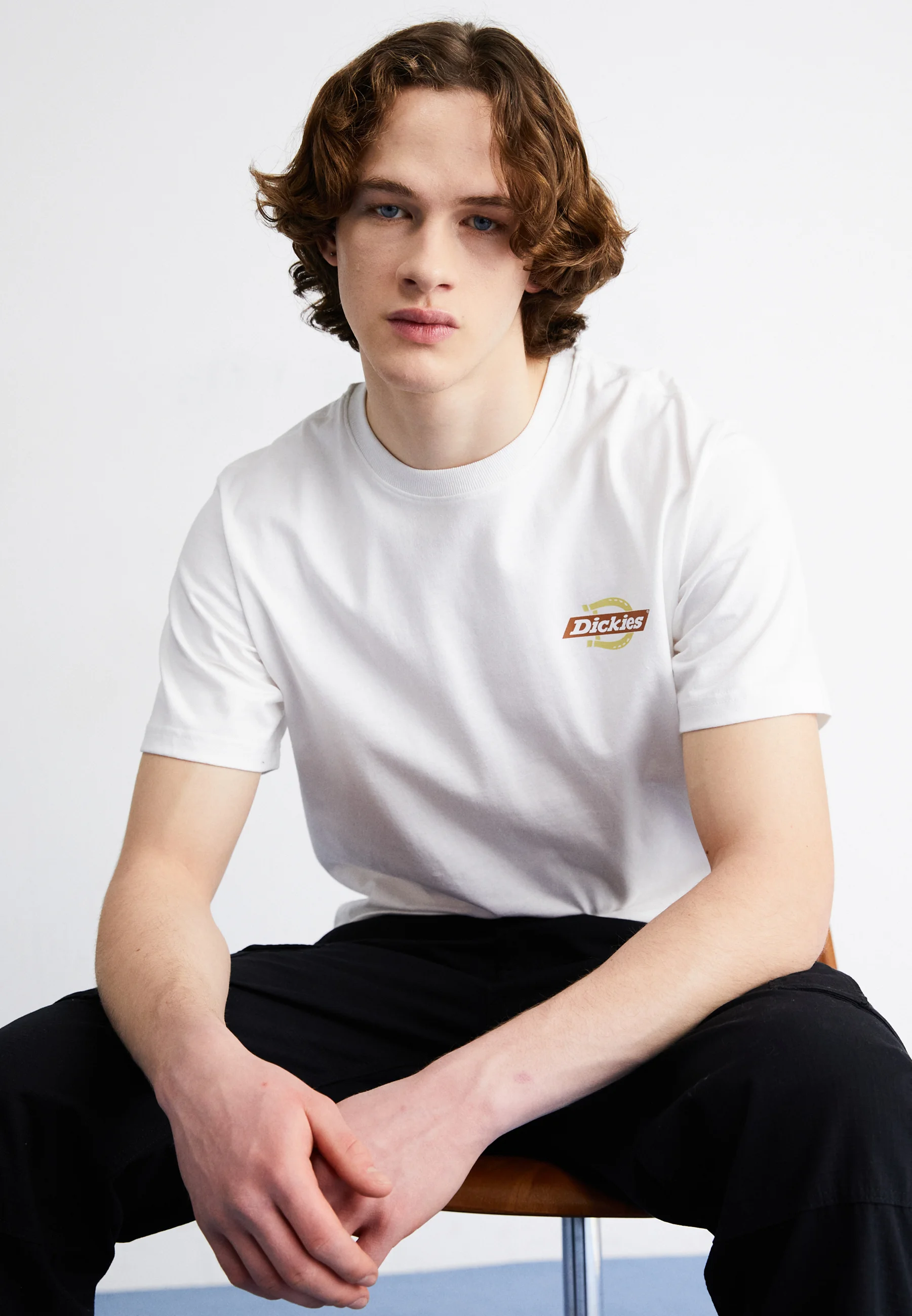 Dickies RUSTON TEE - Camiseta con estampado