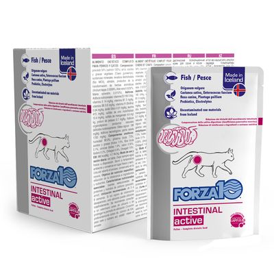 Forza 10 Intestinal Actiwet für Katzen 12 x 100 g