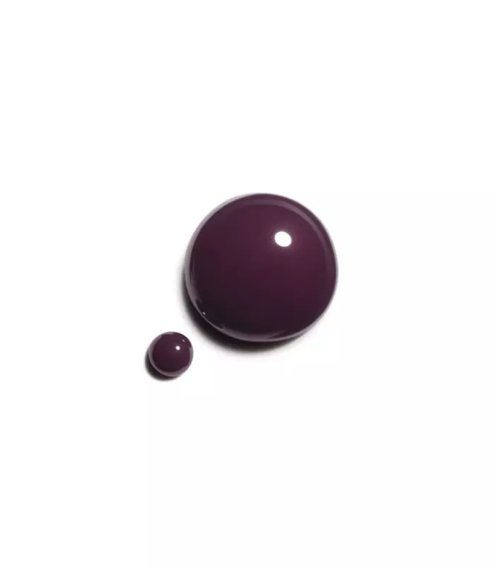 LE VERNIS Couleur Et Brillance Longue Tenue