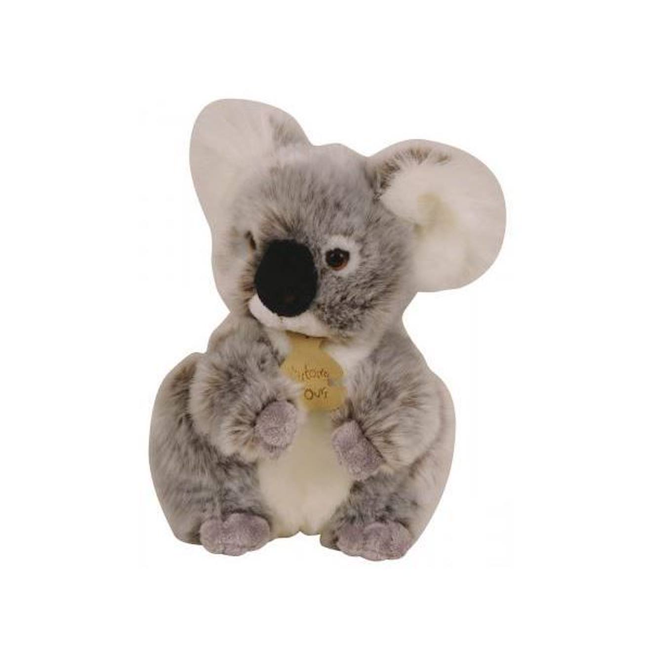 Histoire d'Ours