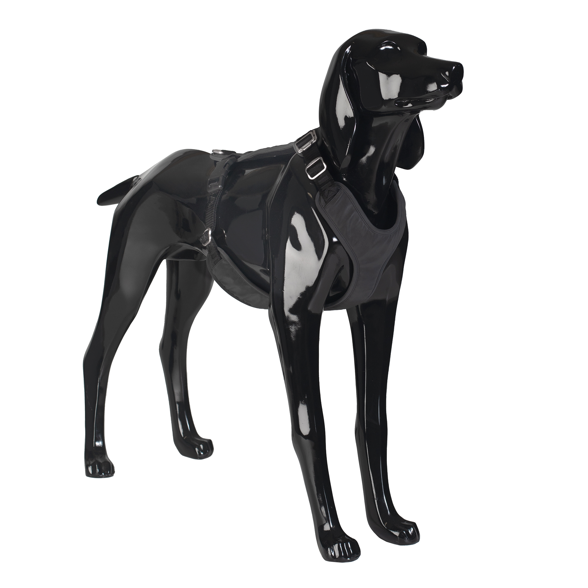 Paikka Hundegeschirre Paikka Visibility Harness dark M